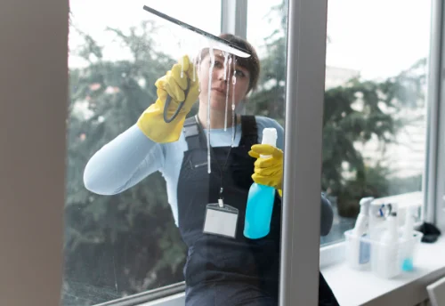 Nettoyage de vitres intérieures et extérieures à Larée